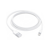 Apple Lightning to USB-A Cable 1m